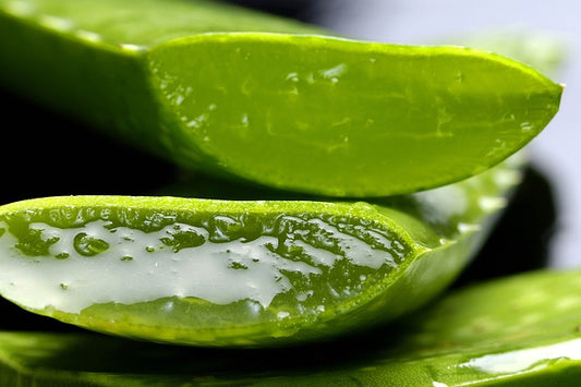 List of Aloe Vera Benefits