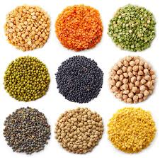 Myths About Protein and a Whole Food Plant-Based Diet